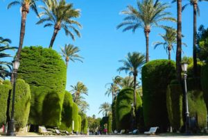 Eventos - localizaciones - parque genovés